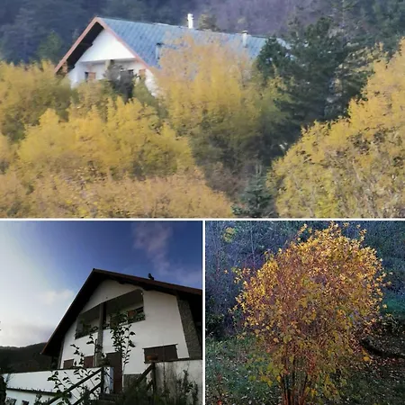 Im Park Fuer Gruppen Und Familien Borzonasca