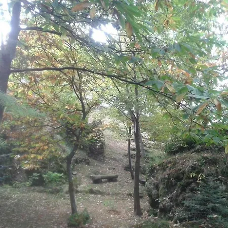 Im Park Fuer Gruppen Und Familien Feriehus *
